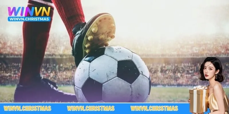 Đa dạng các kèo cược mới nhất cho người chơi